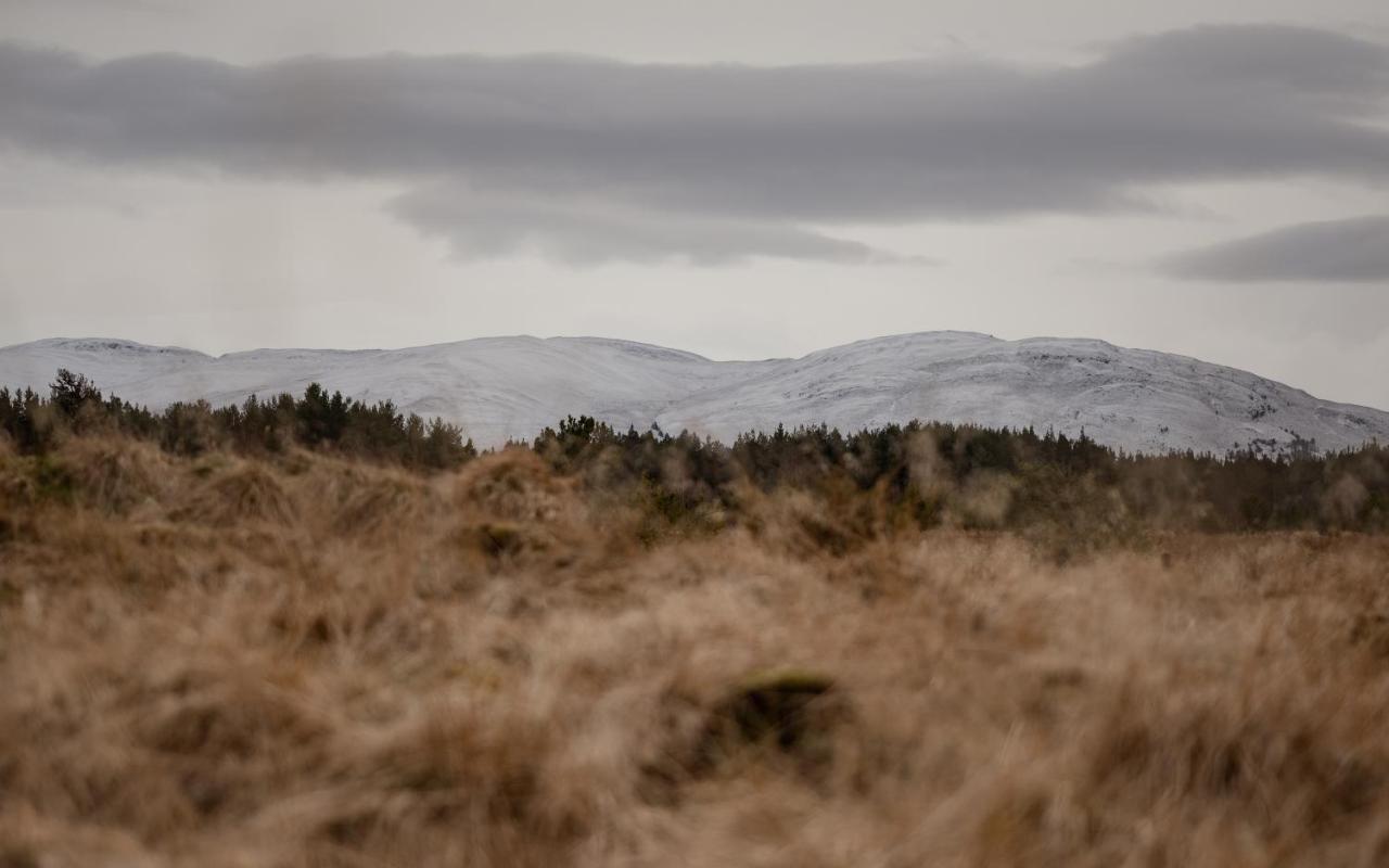 Highland Shepherd Huts Nethy Bridge Extérieur photo